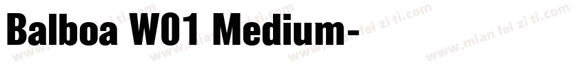 Balboa W01 Medium字体转换